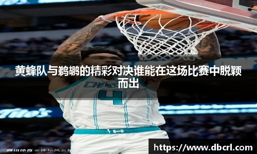 黄蜂队与鹈鹕的精彩对决谁能在这场比赛中脱颖而出
